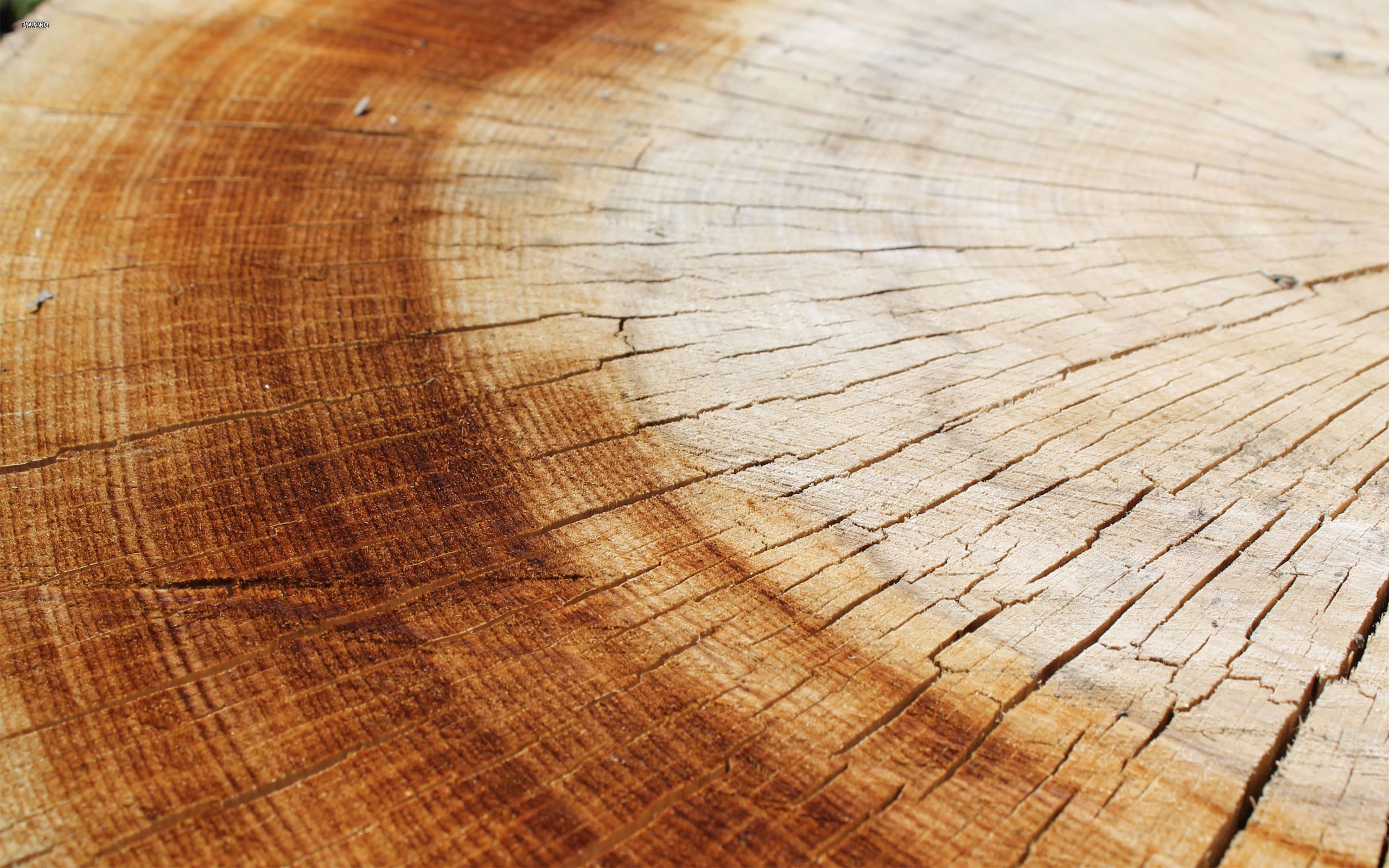 Products Eco Value Flooring Affordable ecofriendly flooring solutions